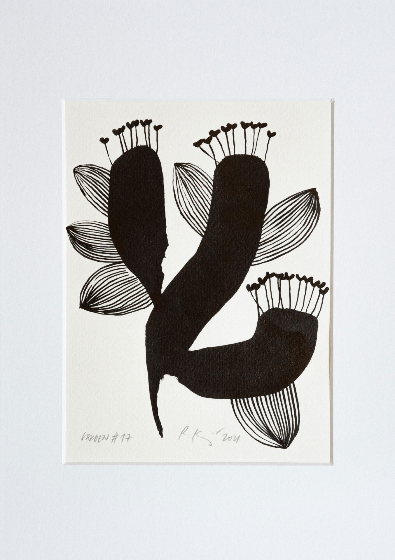 Reka kiraly herbarium
