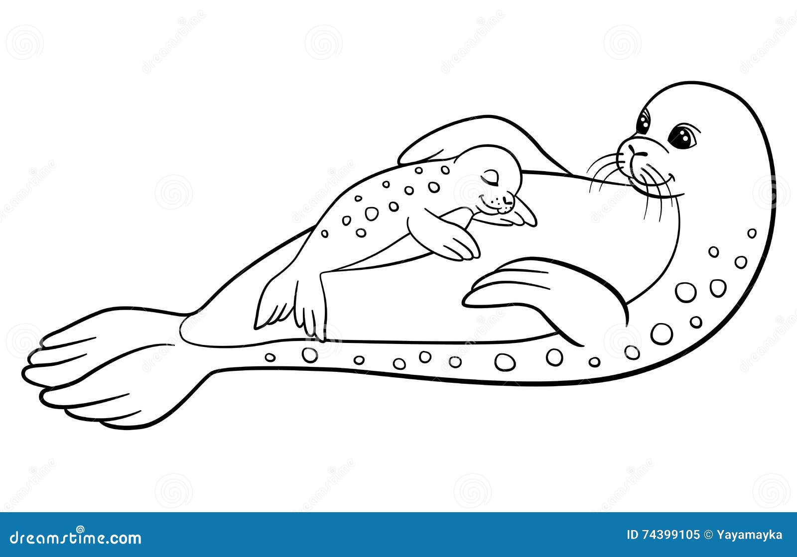 Coloring pages mother seal with her little cute baby stock vector
