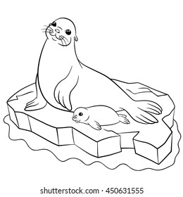 Coloring pages mother seal her little stock vector royalty free