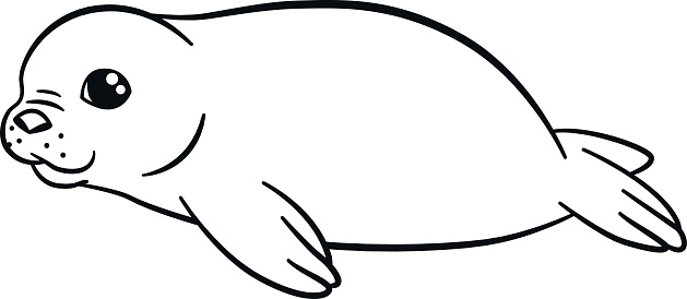 Coloring pages little cute baby fur seal smiles stock illustration
