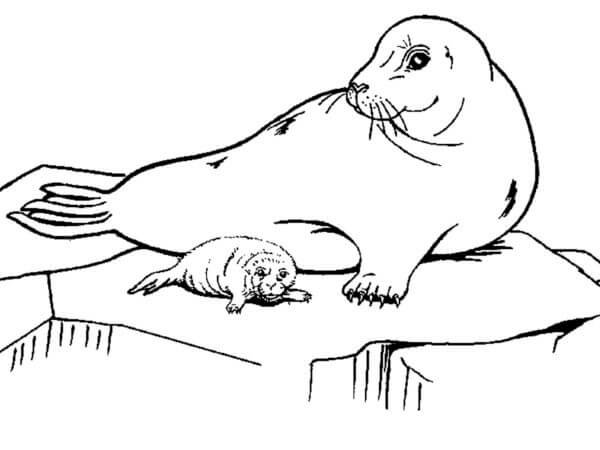 Mom and baby on the ice coloring page