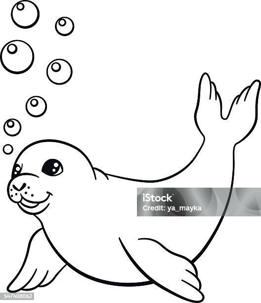 Coloring pages little cute baby seal swims stock illustration