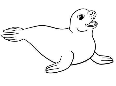 Coloring pages little cute seal vector