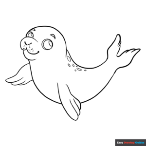 Baby seal coloring page easy drawing guides
