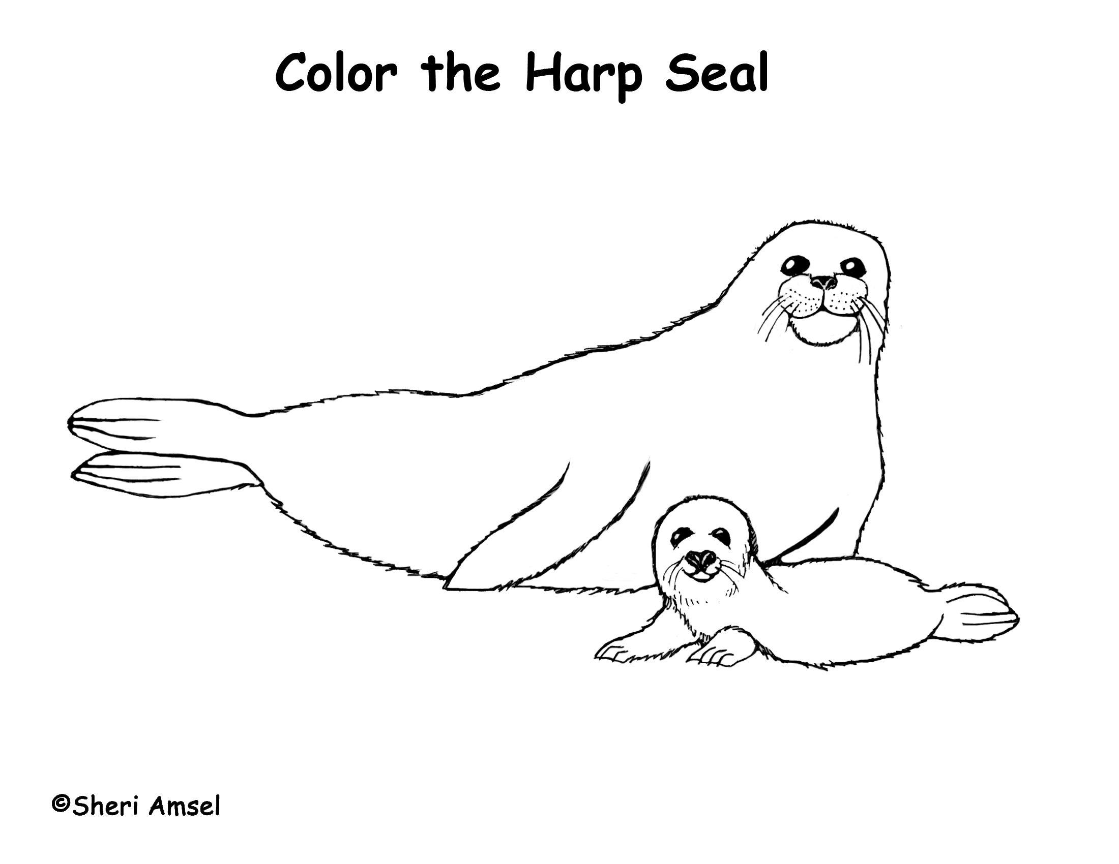Seal harp coloring page
