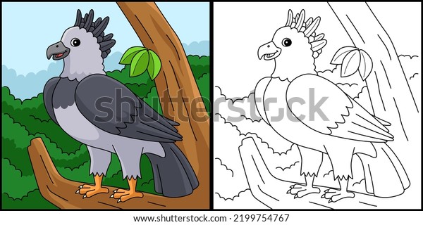 Harpy eagle coloring pages photos and images