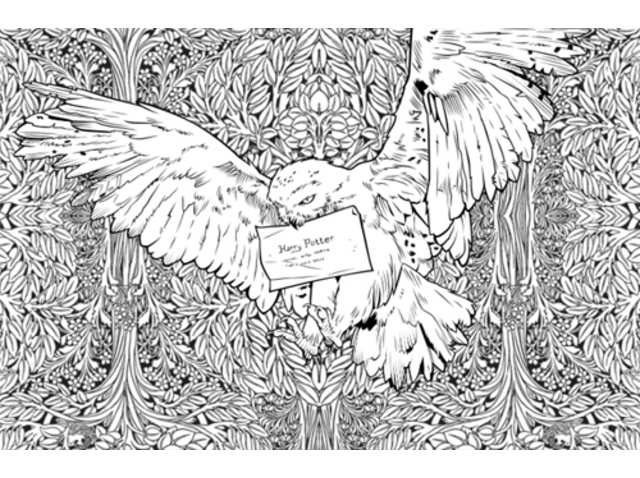 Now harry potter colouring books for adults to beat soe stress