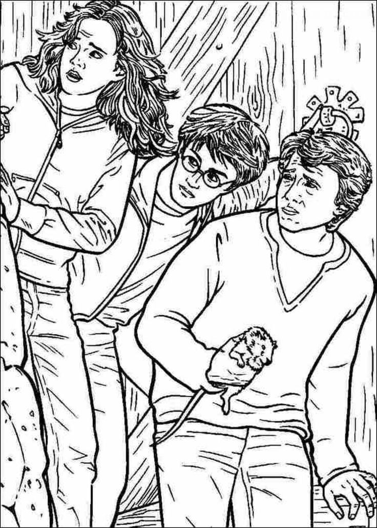 Harry potter colouring