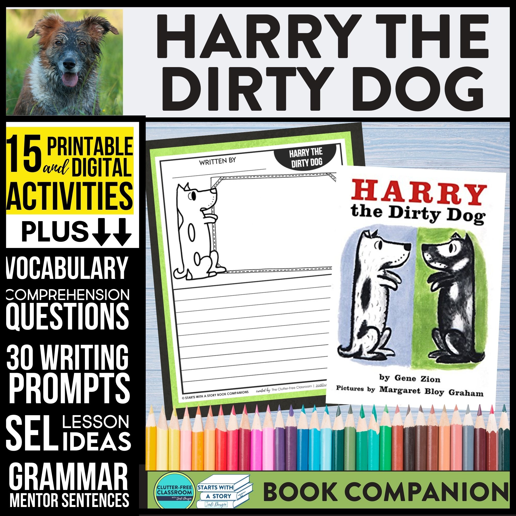 Harry the dirty dog activities and lesson plans for