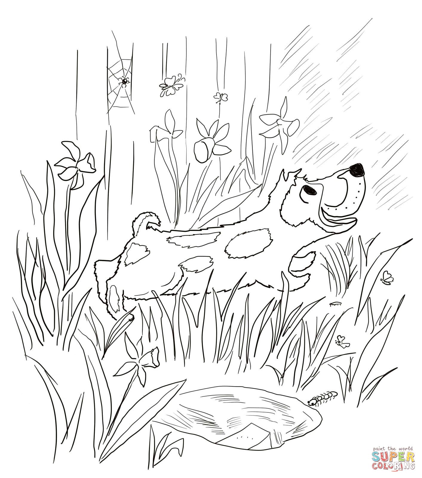Harry the dirty dog coloring sheet for kids
