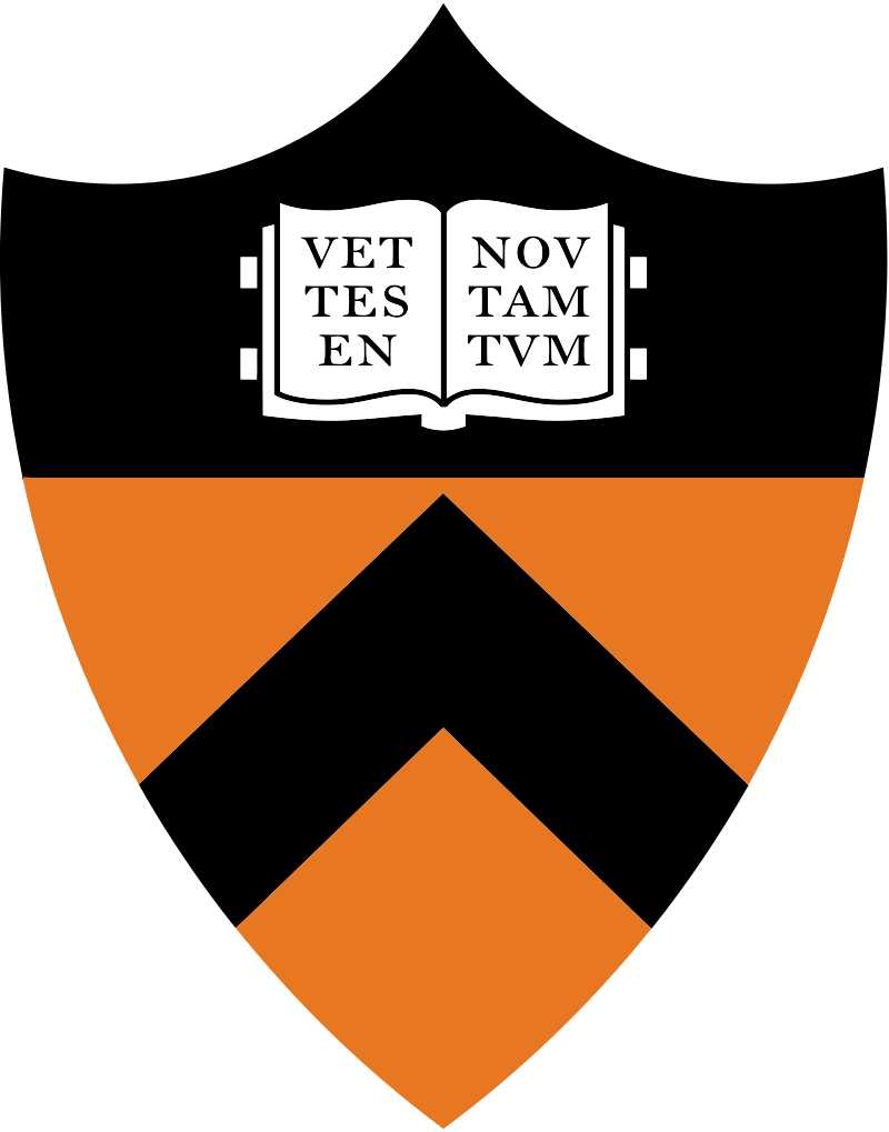Princeton university