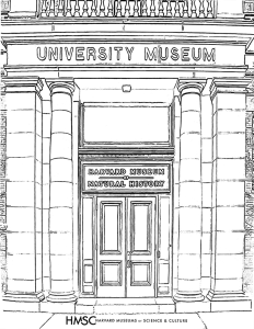 Coloring pages â museums of science culture
