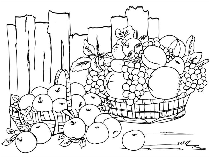 Festival harvest colouring sheet coloring sheets free coloring pages fall coloring pages