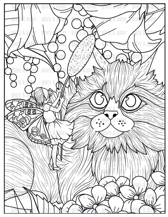 Fairy coloring book printable adult coloring book adult coloring pages fantasy coloring page digital download