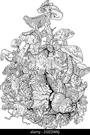 Forest mushroom pie snail autumn leaves lichen fall season ecology environment nature fairy tale harvest anti stress coloring page tattoo stock vector image art