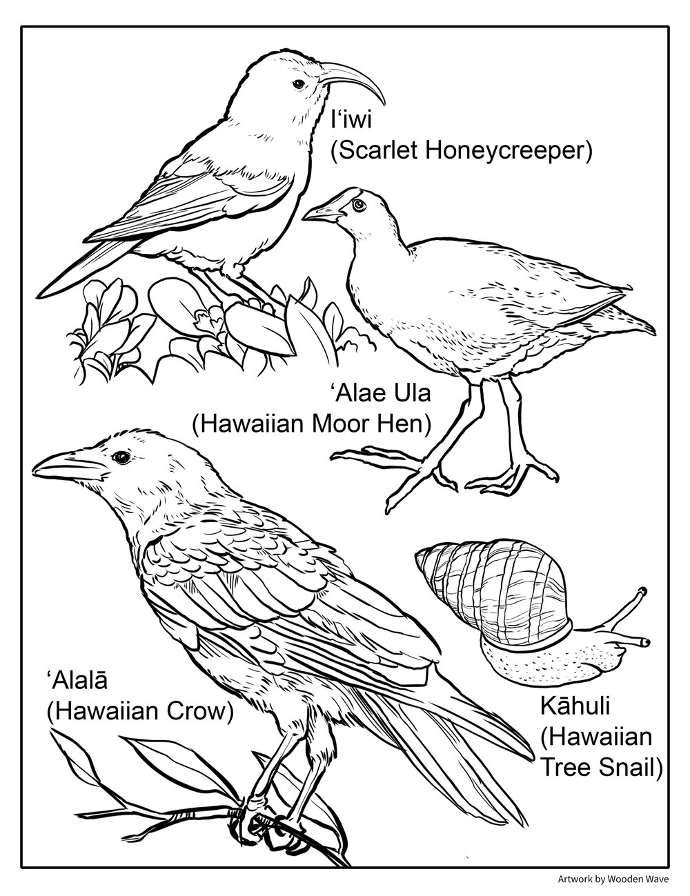 Hawaii coloring book â wooden wave