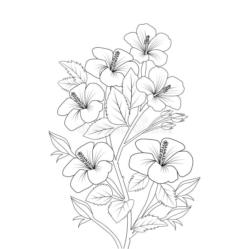 Hawaiian flower coloring page illustration with line art stroke of black and white hand drawn stock vector