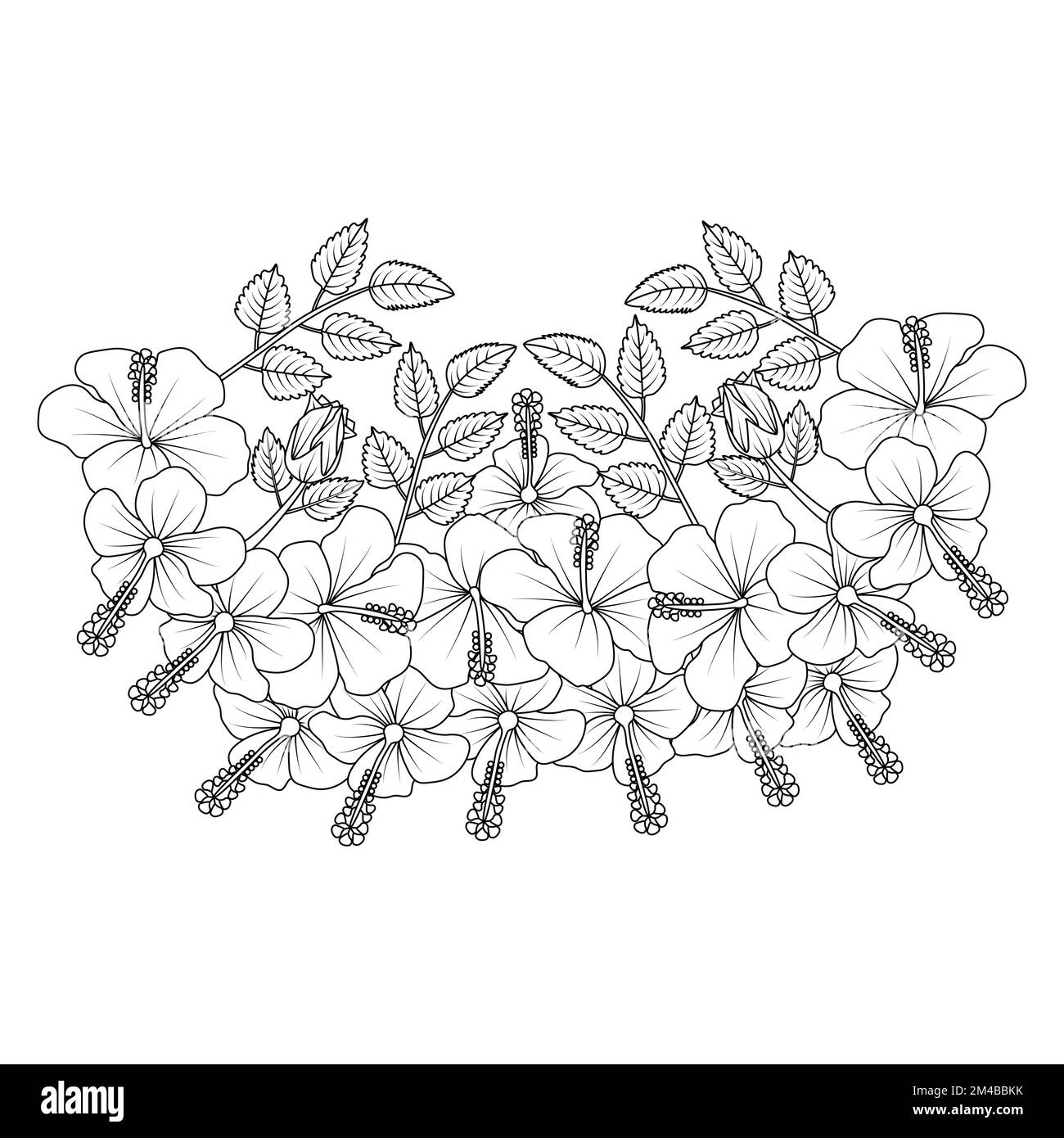 Hibiscus flowers coloring page illustration with hawaiian hibiscus leaves and outline rose of sharon stock vector image art