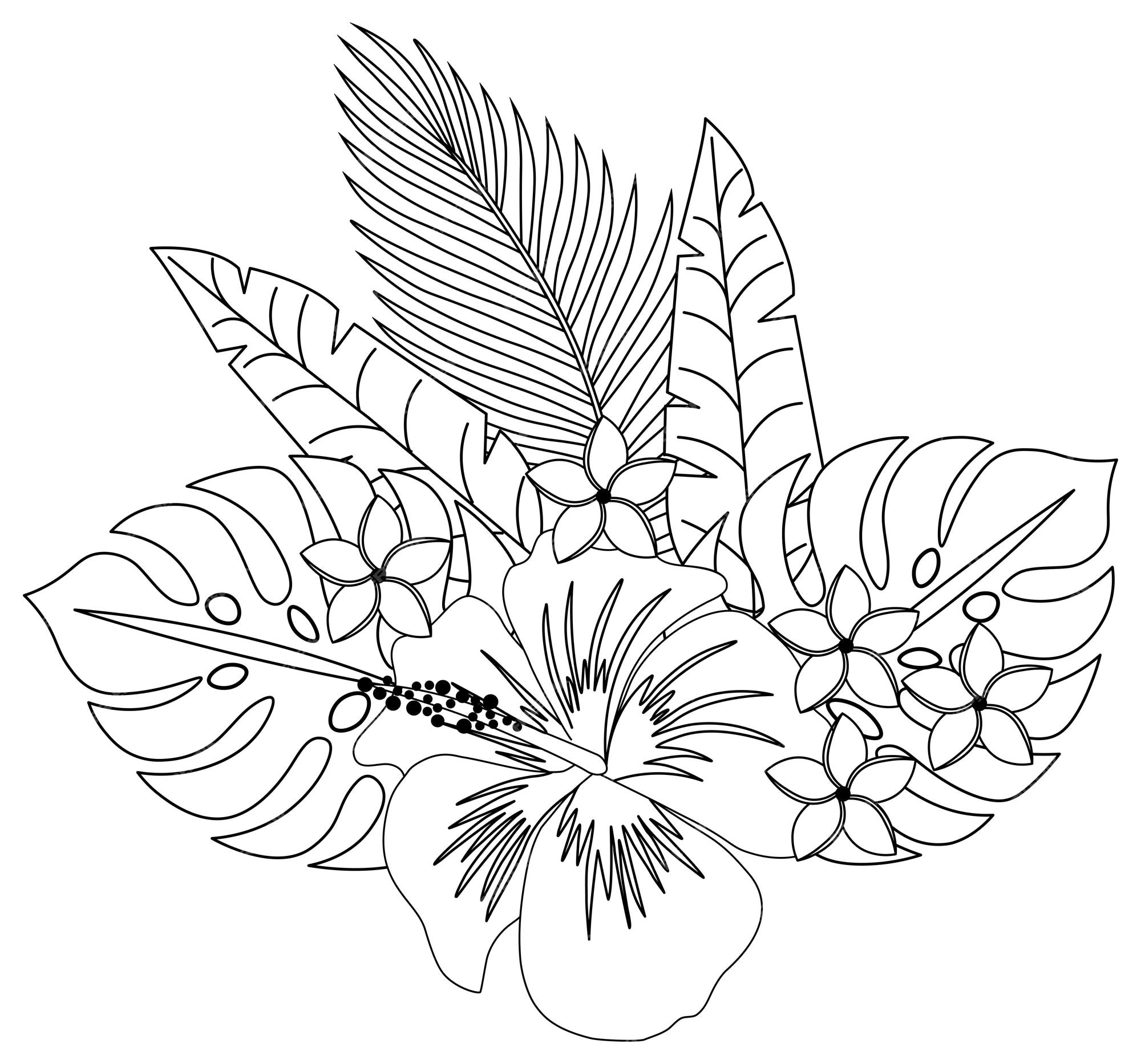 Premium vector hawaiian flowers and tropical plants drawing