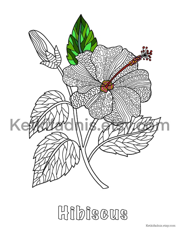 Hibiscus flower coloring page flower coloring page pdf download digital download coloring page zentangle