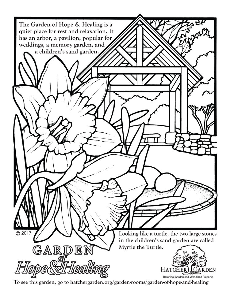 Coloring pages â hatcher garden