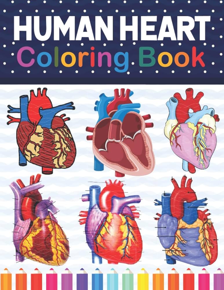Human heart coloring book cardiology coloring work book for medical and nursing students childrens science books human heart anatomy coloring art anatomy workbook for kids adults publication sarkaylone