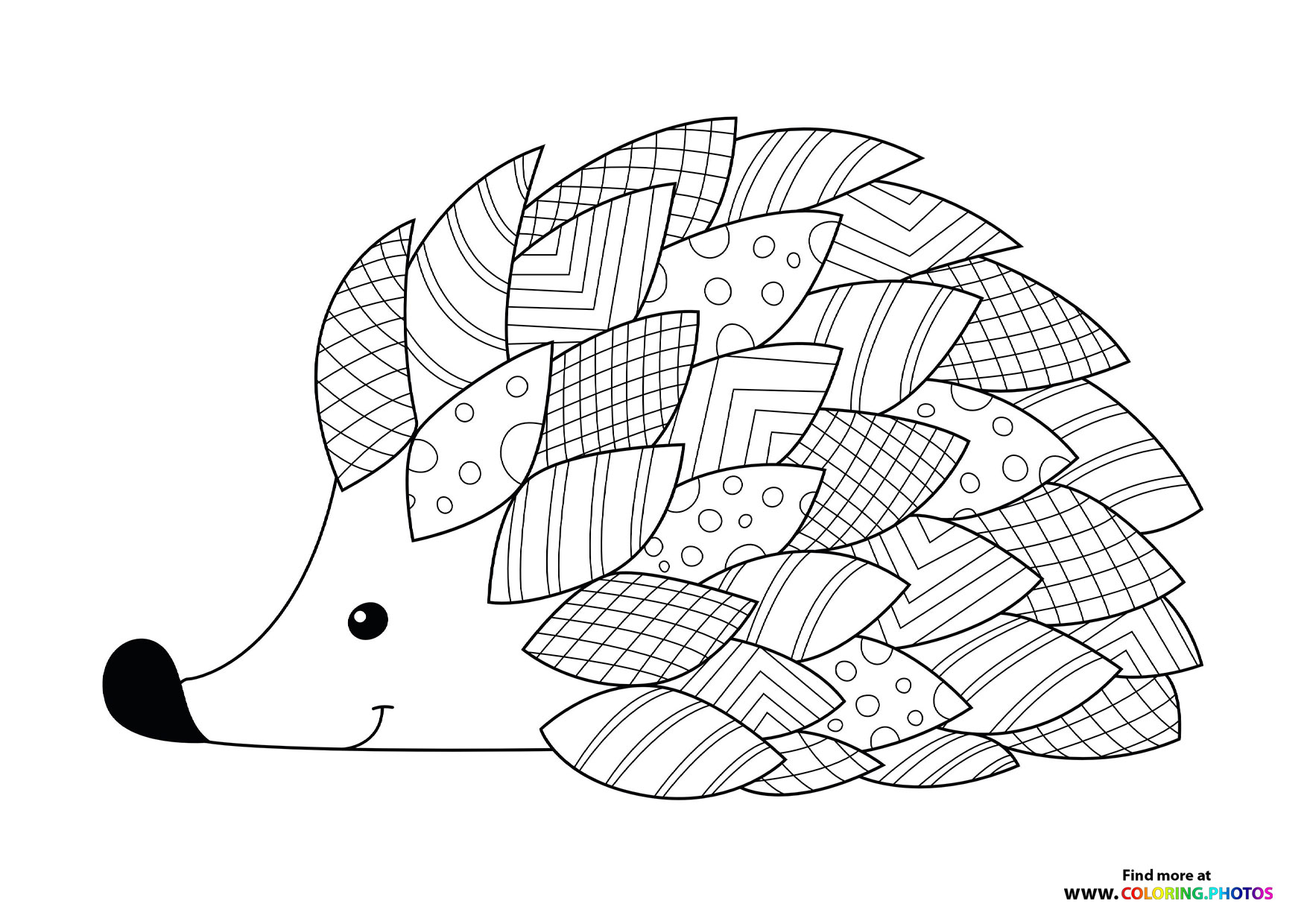 Autumn hedgehog