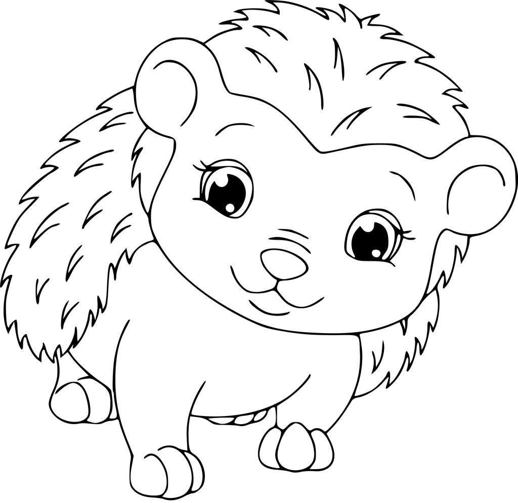 Hedgehog coloring pages