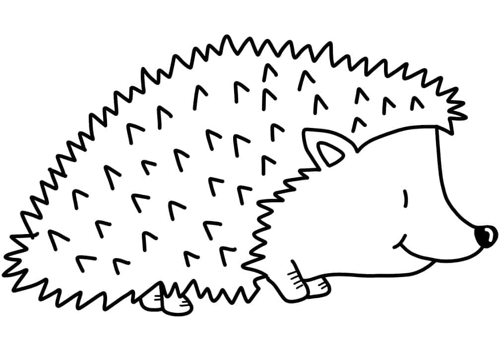 Printable cute hedgehog coloring page