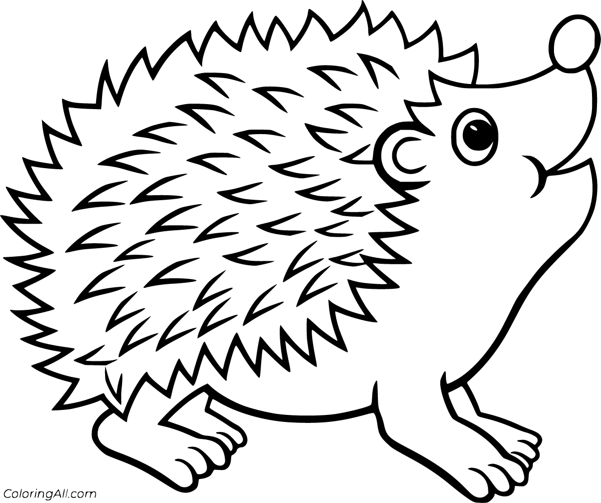 Hedgehog coloring pages