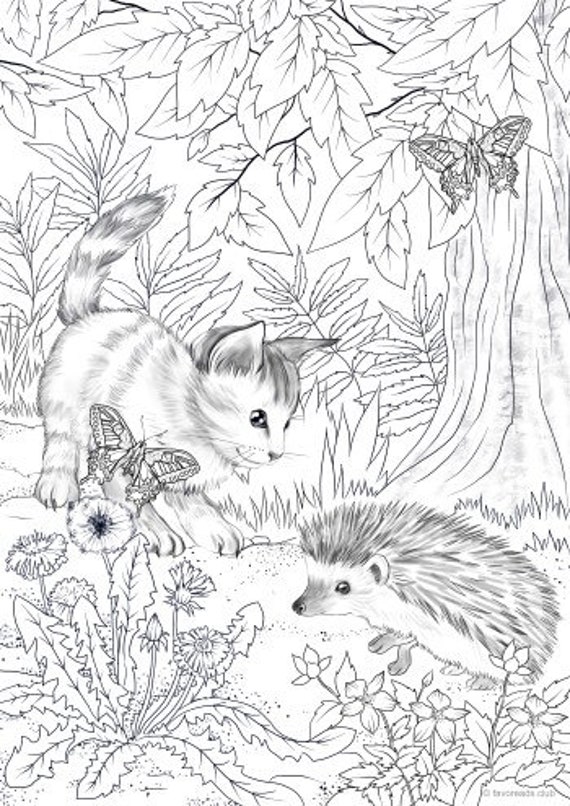 Cat and hedgehog printable adult coloring page from favoreads coloring book pages for adults and kids coloring sheets coloring designs