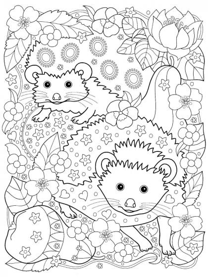 Free printable hedgehog coloring pages for adults