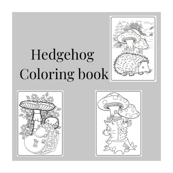 Page unique hedgehog themed kids digital coloring book