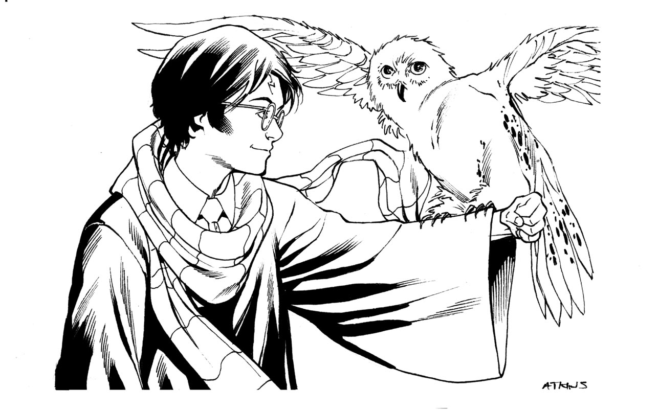 Robert atkins art harry potter