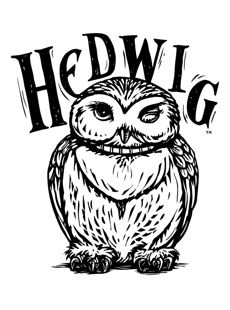 Hedwig coloring page harry potter harry potter coloring pages harry potter colors harry potter coloring book