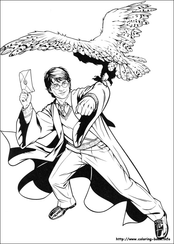 Harry potter coloring picture
