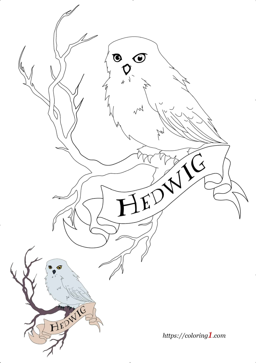 Harry potter owl hedwig coloring pages
