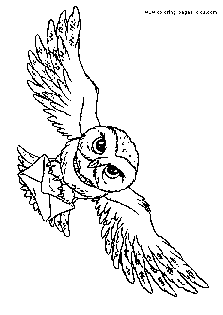 Hedwig the owl color page