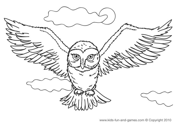 Hedwig owl coloring pages free at kids fun and games owl coloring pages bird coloring pages coloring pages