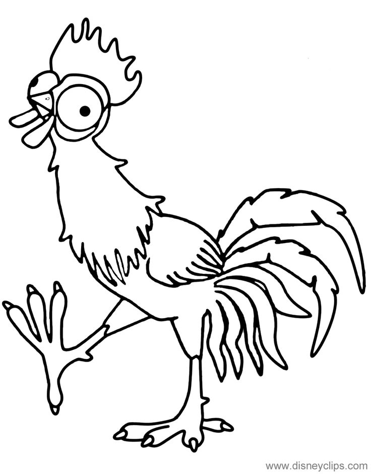 Image result for hei hei chicken coloring pages chicken coloring pages chicken coloring animal coloring pages