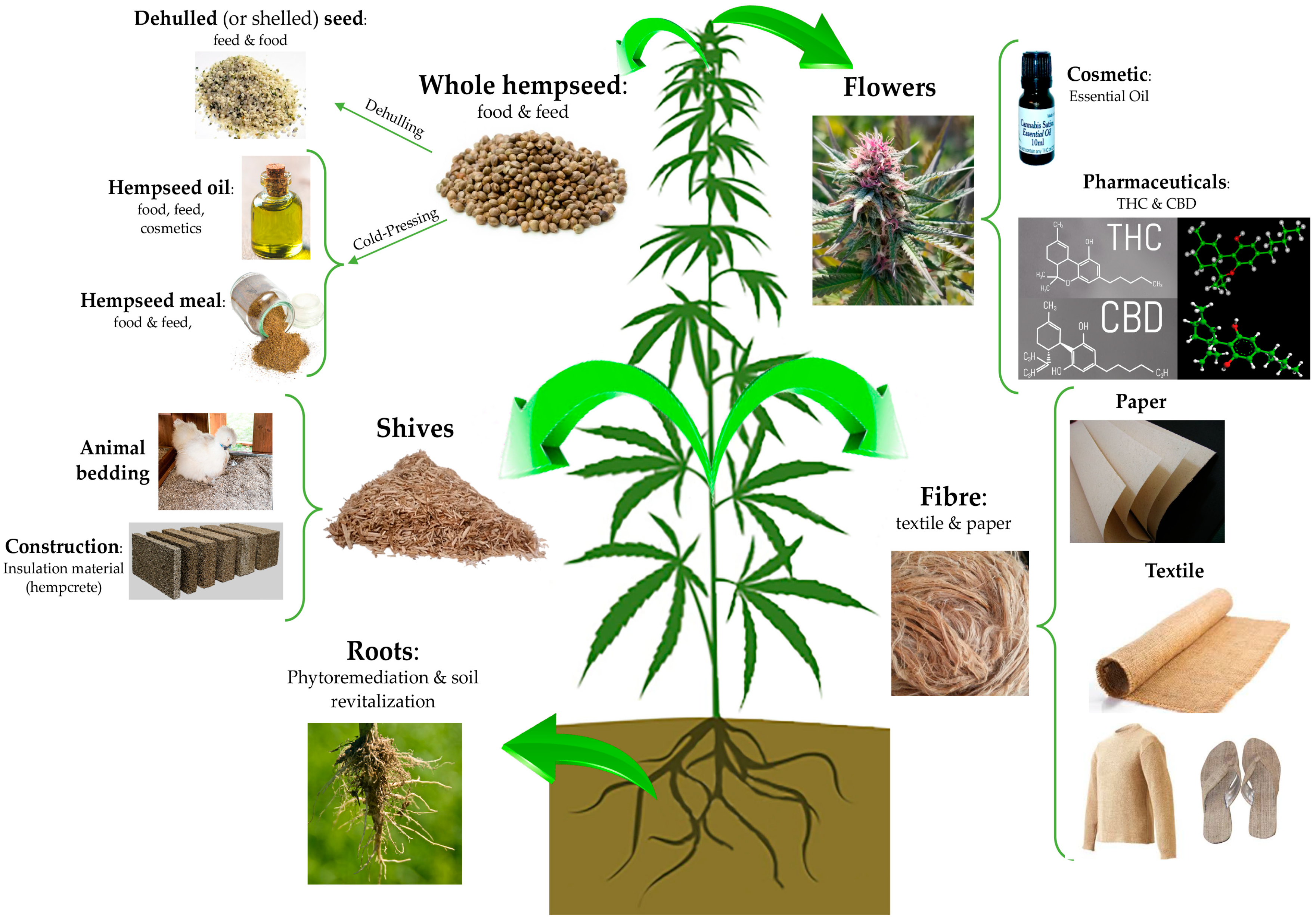 Nutrients free full