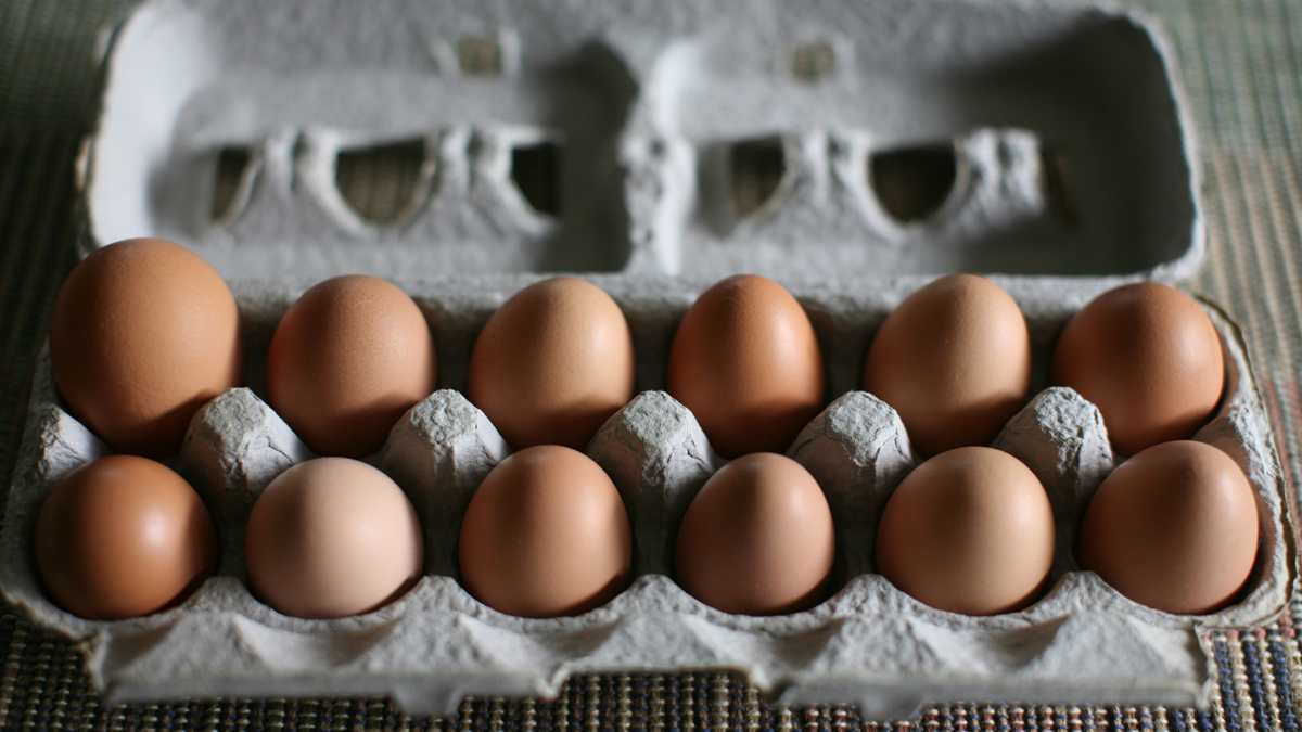 Farm fresh natural eggs not always what theyre cracked up to be the salt