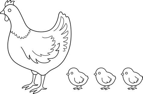 Hens and chickens drawings