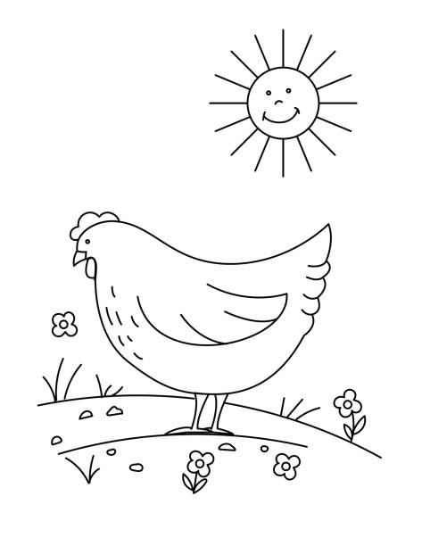 Chicken coloring pages stock illustrations royalty