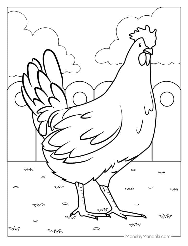 Chicken coloring pages free pdf printables