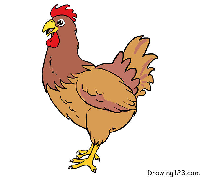Chicken drawing tutorial