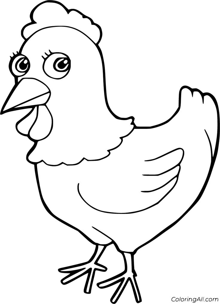 Hen coloring pages bird coloring pages coloring pages chicken coloring pages