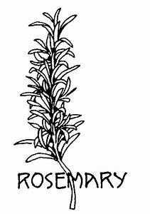 Herbs coloring pages coloring pages herb embroidery herbs