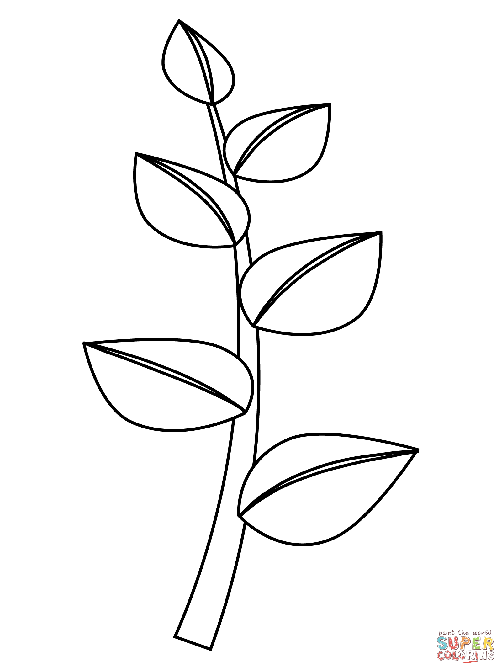 Herb coloring page free printable coloring pages