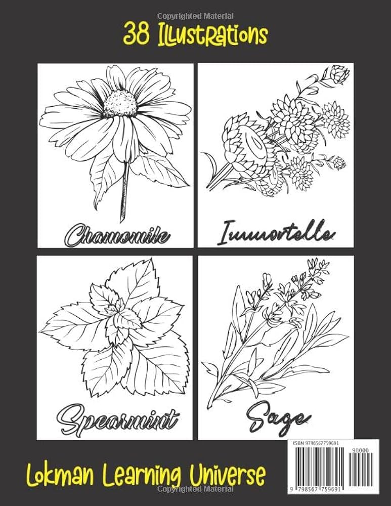 Herb coloring book medicinal plants coloring book wildflowers coloring book herbs illustrations to color and enrich your knowledge about herbs halloween thanksgiving easter gift universe lokman learning books